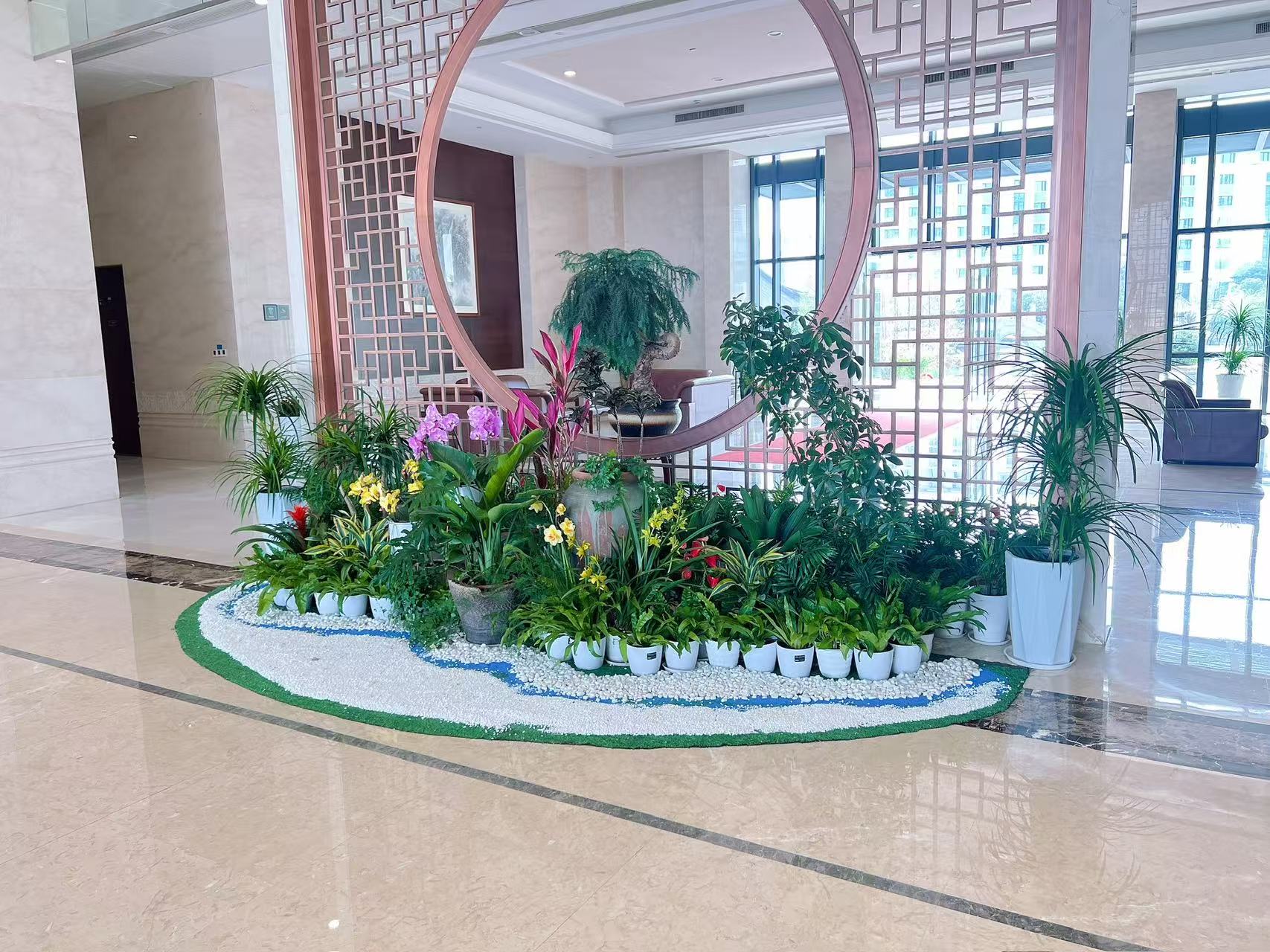 寻找奉化绿植出租？实惠价格等你来享！